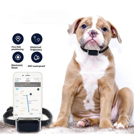 G12 Smart GPS Pet Tracker – Anti-Lost Locator for Cats & Dogs