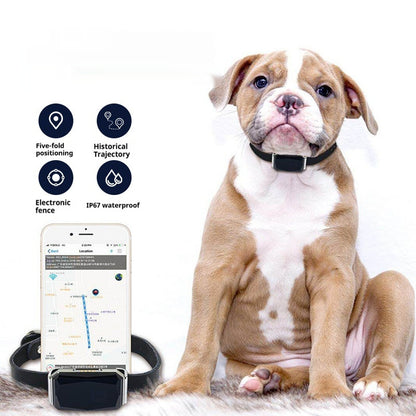 G12 Smart GPS Pet Tracker – Anti-Lost Locator for Cats & Dogs
